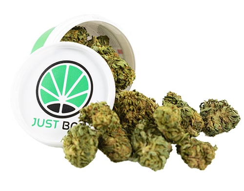 Box-Mango-Haze-CBD-cannabis Box of Mango Haze CBD Buds