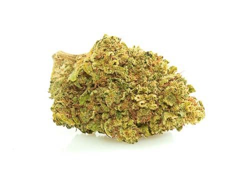 CBD Flower of Mango Haze legal Weed UK