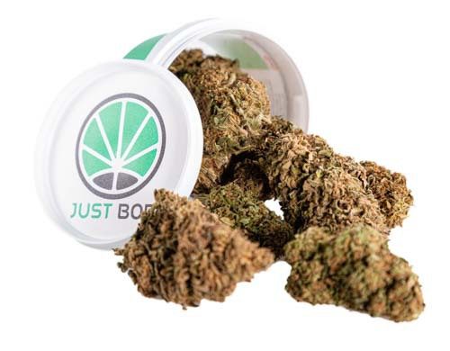 Lemon Cheese Box Weed