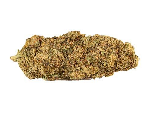 CBD Flower of Mango Haze legal Weed UK