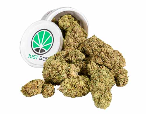 Orange-Bud-Box-Weed Orange Bud Box Weed
