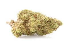 Orange Bud CBD flower of legal cannabis