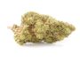 Orange Bud CBD flower of legal cannabis
