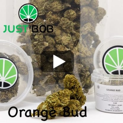 video-orange-bud Orange Bud