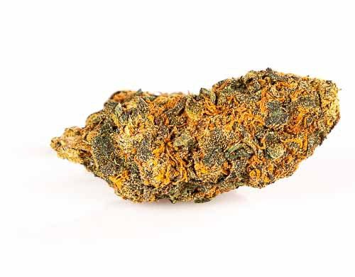 Orange Bud CBD flower of legal cannabis