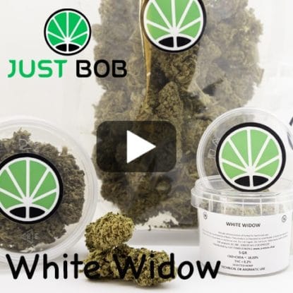 white widow video white widow