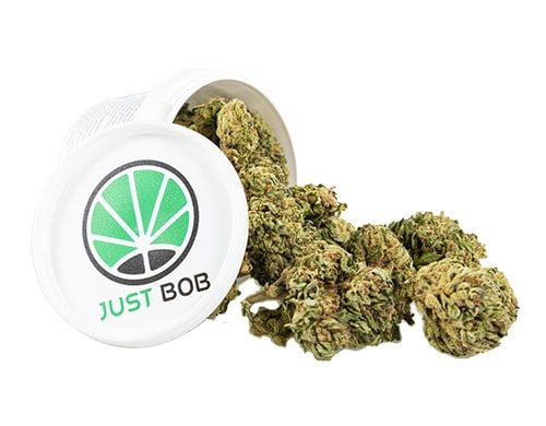 Box of Bubblegum cbd Flowers