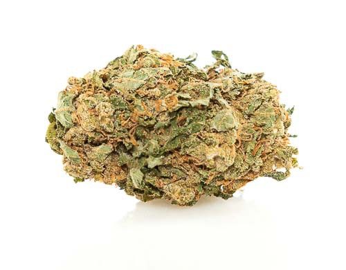 Bubblegum Weed Seeds
