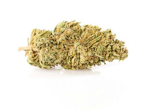 CBD Weed of Melon Kush