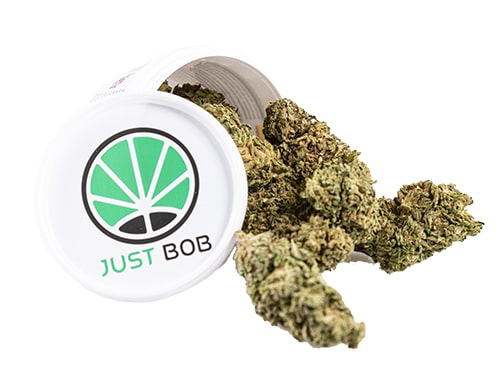packaging-of-cbd-flowers-Melon-Kush Packaging of Melon Kush cbd weed