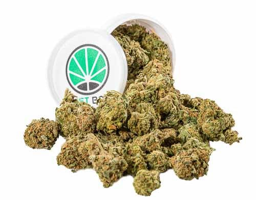 cbd-buds-gorilla-glue CBD Buds Gorilla Glue best quality