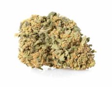 CBD Flowers of Gorilla Glue 