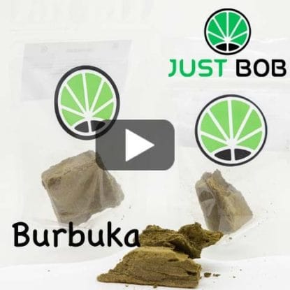 Burbuka hashish cbd hash