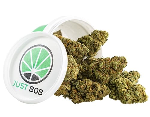 cbd-buds-california-haze CALIFORNIA HAZE