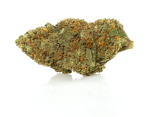 cbd-weed-california-haze cbd weed california haze