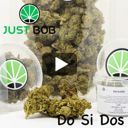 Do Si Dos