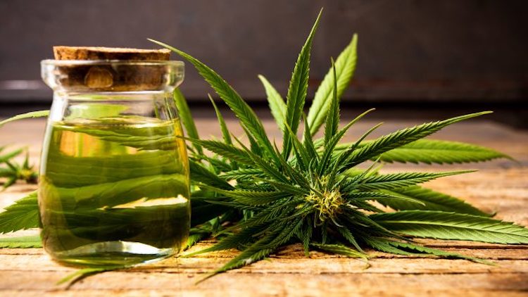 medical benefits of using CBD flowers