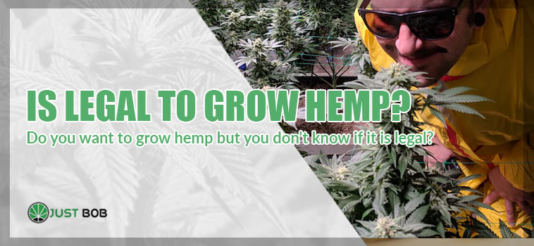 is legal grow hemp?