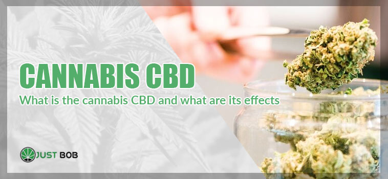 what is cannabis cbd