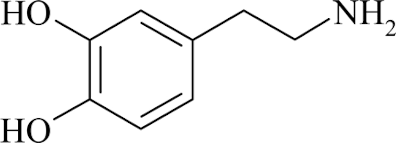 the dopamine structure from wikipedia