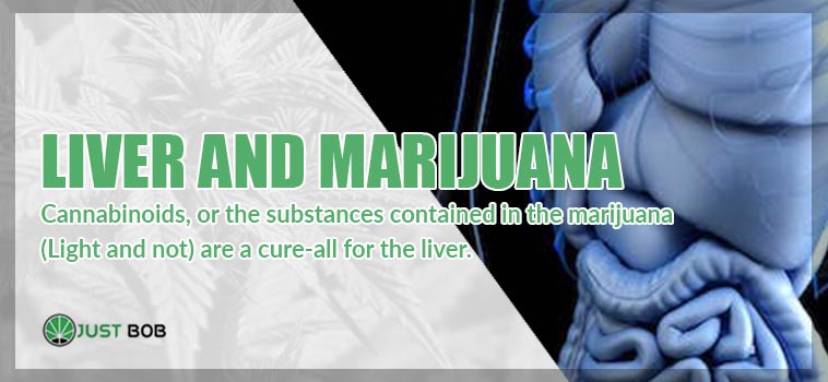Liver and marijuana