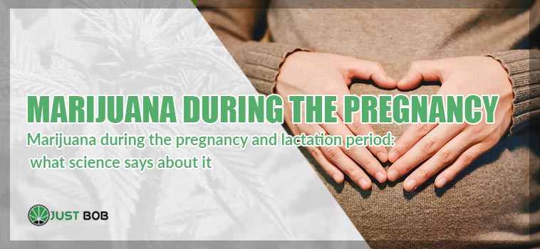 marijuana during pregnancy