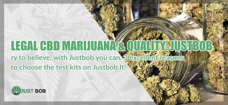 Legal CBD Weed and quality Justbob