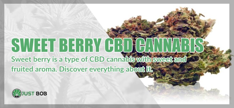 Sweet Berry: a fruited CBD Cannabis