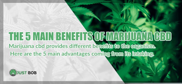 The 5 main benefits of marijuana CBD