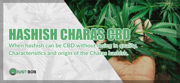 Charas: a good hashish cbd