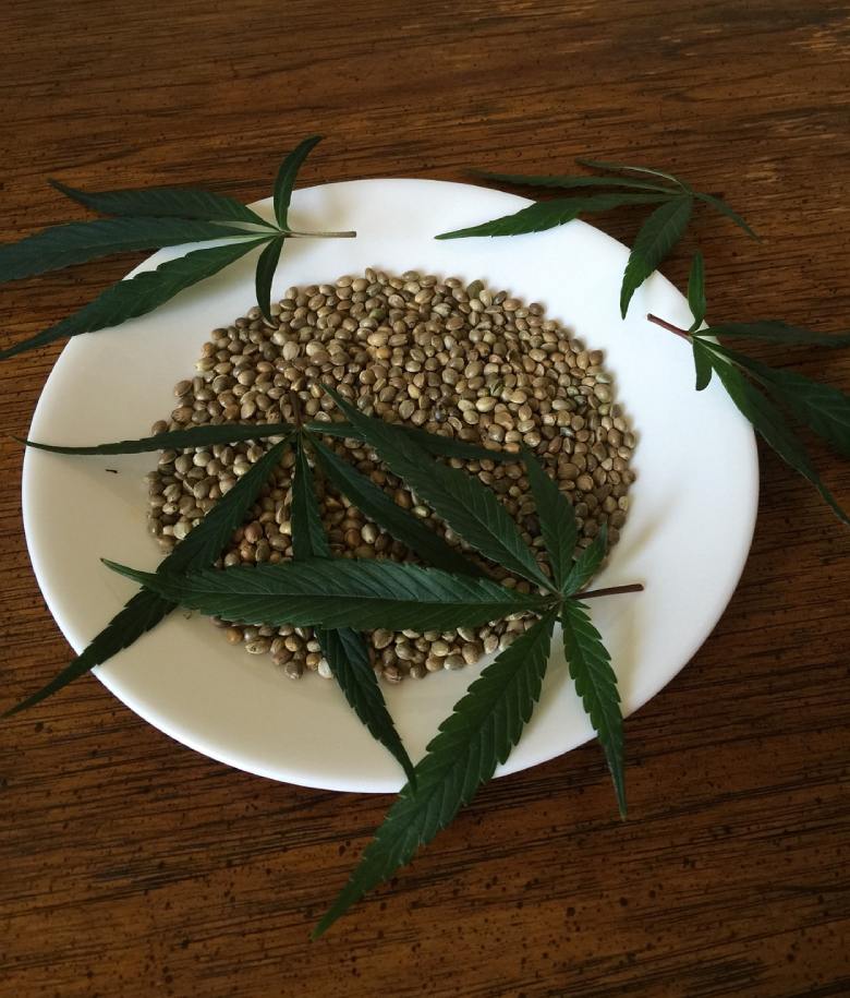 cannabis seeds of northern lights cbd weed