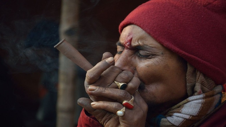 in india the use of cannabis is legal only for religious purposes