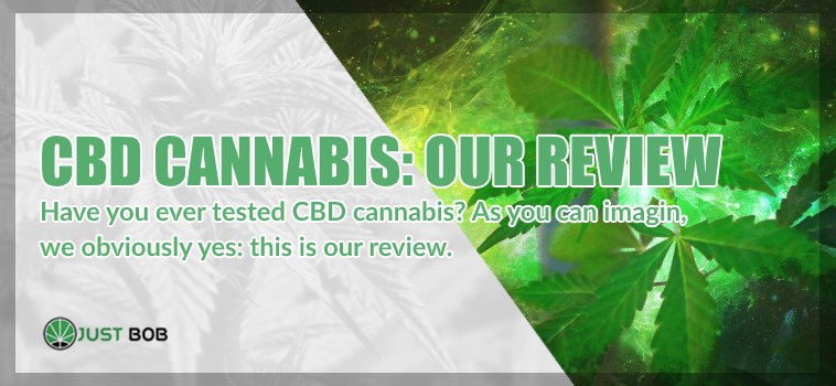 CBD Cannabis : our review