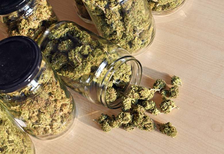 marihuana light optimally conserved in glass jars