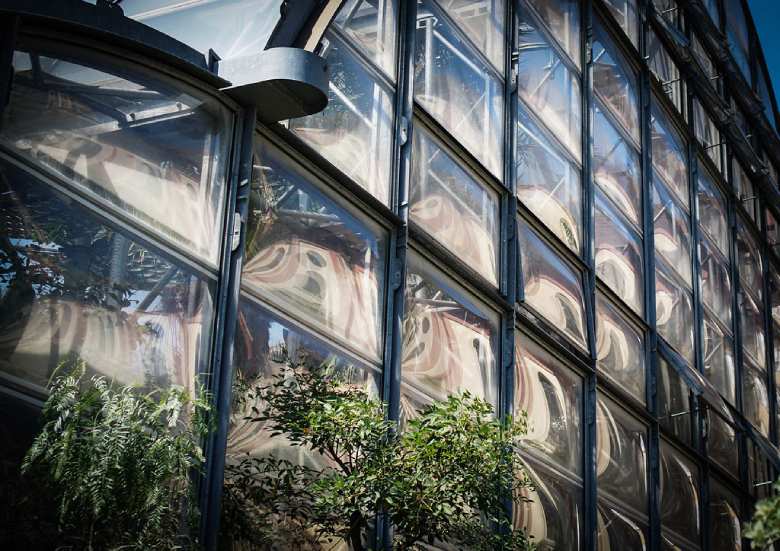 marijuana cbd glasshouse windows