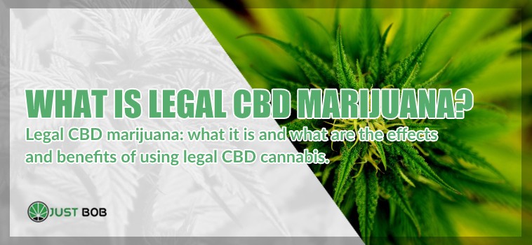 What is legal CBD marijuana