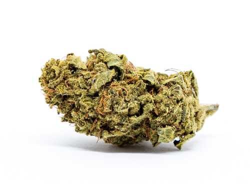 CBD Weed of Melon Kush