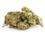 47891 Cannabis-cbd-outdoor-buds-mix