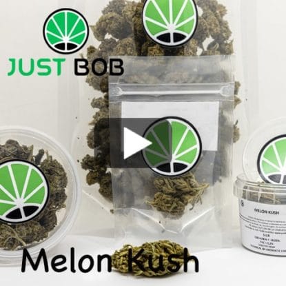 Video-Melon-Kush Melon Kush