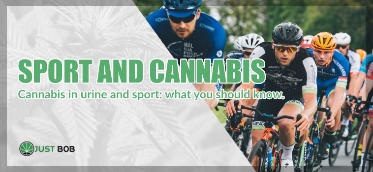 Sport and cbd Cannabis