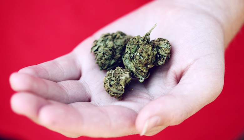 THC level of cbd cannabis