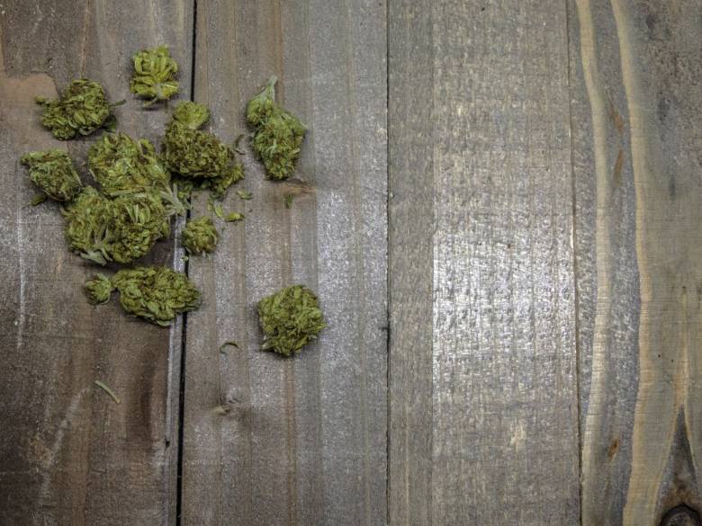 buds of sativa cannabis