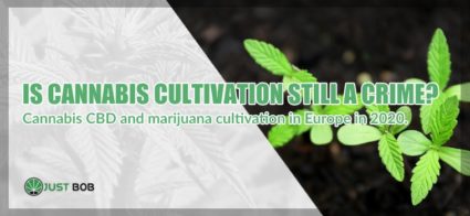 legal hemp home cultivation
