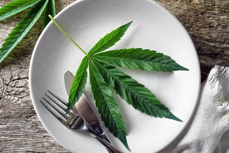 marijuana cbd and cannabis foods
