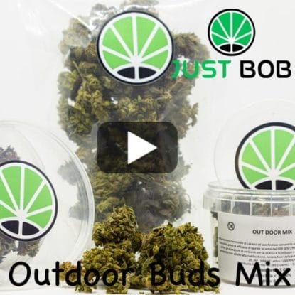 Outdoor Buds Mix Video