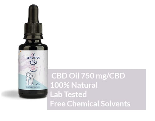 marijuana-oil-2.5-pets Marijuana Oil for Pets 2.5%