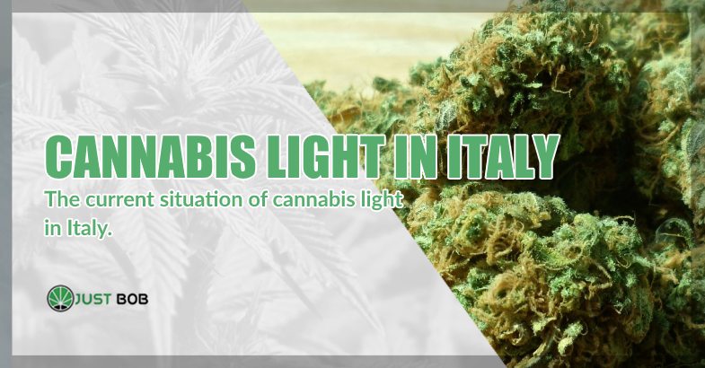 situation of cannabis light in Italy