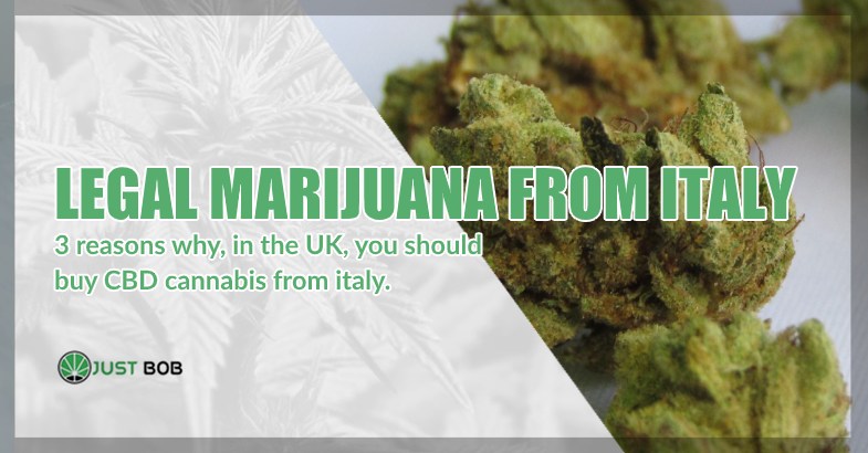 Legal marijuana from Italy
