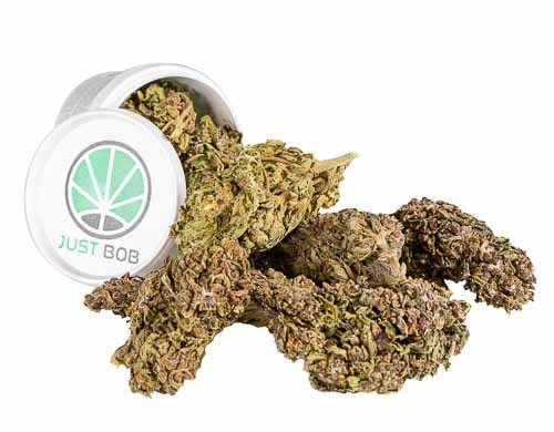 purple weed cbd flower uk