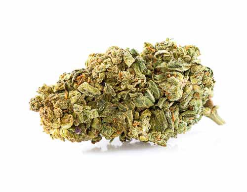Legal Cannabis Purple GG 4